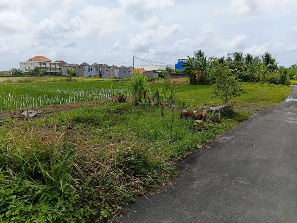 whatsapp image 2026 02 17 at 10.27.53 (1)