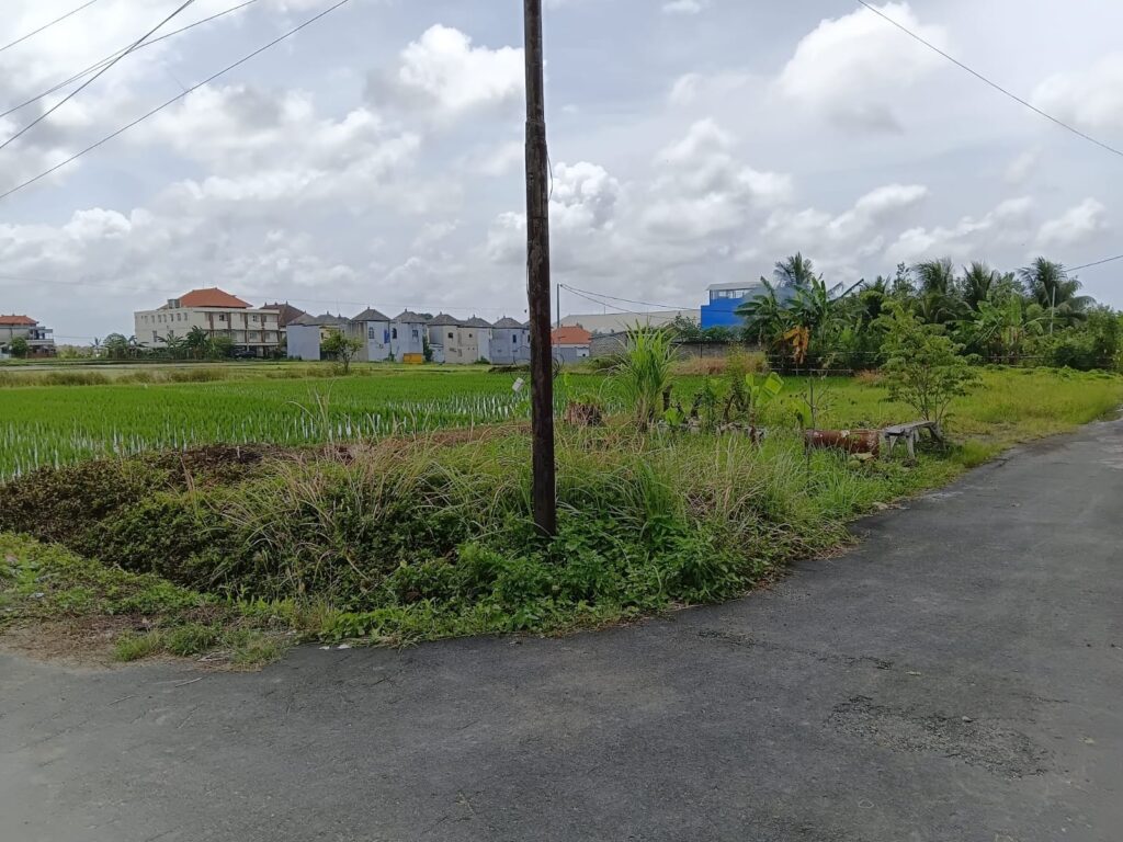 whatsapp image 2026 02 17 at 10.27.53 (2)